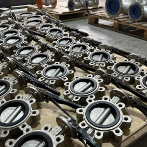 NEWVAL Concentric Butterfly Valves - Image 3
